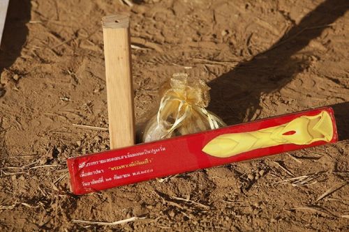 ภาพ No.11971:ประมวลภาพพิธีโปรยทรายและตอกเสาเข็มมงคล "พระมหาเจดีย์ทัตตชีโว"