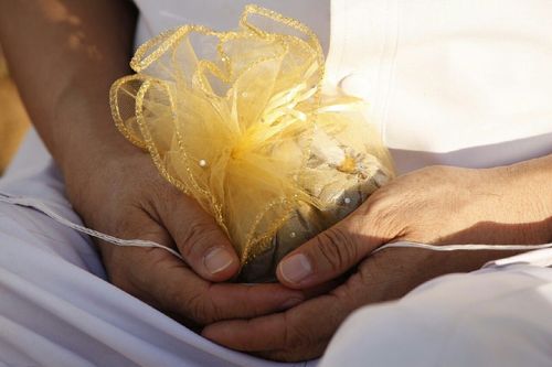 ภาพ No.11991:ประมวลภาพพิธีโปรยทรายและตอกเสาเข็มมงคล "พระมหาเจดีย์ทัตตชีโว"