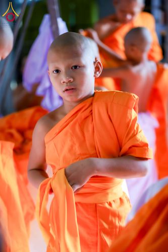 ภาพ No.317522:วันอาทิตย์ ที่ 29 มีนาคม พ.ศ.2569  พิธีปลงผม , พิธีขอขมามอบบาตรและผ้าไตร , พิธีบรรพชา ณ ศูนย์ปฏิบัติธรรมสมุทรปราการ จำนวน 42 รูป