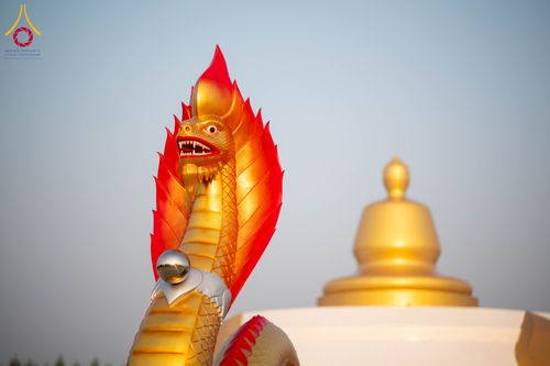 ภาพ No.299860:วันที่ 19 มกราคม พ.ศ.2569 พระธรรมยาตราปฏิบัติธรรมและถ่ายภาพหมู่ประวัติศาสตร์ ณ อนุสรณ์สถานลำดับที่ 5 สถานที่เผยแผ่วิชชาธรรมกายครั้งแรก  อนุสรณ์สถานบางปลาวัดบางปลา อ.บางเลน จ.นครปฐม ในโครงการธรรมยาตรา กตัญญูบูชา มหาปูชนียาจารย์ พระมงคลเทพมุนี(สด จนฺทสโร) 