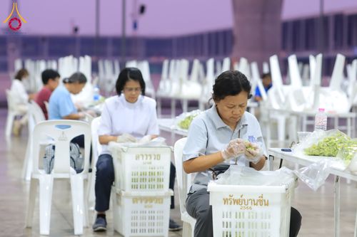 ภาพ No.303302:วันที่ 15-21 มกราคม พ.ศ.2569 ปลิดกลีบดอกเบญจทรัพย์ เพื่อโปรยต้อนรับพระธรรมยาตรา ในโครงการธรรมยาตรา กตัญญูบูชา มหาปูชนียาจารย์ พระมงคลเทพมุนี(สด จนฺทสโร) พระผู้ปราบมาร อนุสรณ์สถาน 7 แห่ง ปีที่ 14 ณ วิหารคด วัดพระธรรมกาย