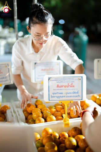 ภาพ No.288203:วันที่ 5 มกราคม พ.ศ. 2569 พิธีถวายภัตตาหารเป็นสังฆทาน แด่พระธรรมยาตรา ในโครงการธรรมยาตรา กตัญญูบูชา มหาปูชนียาจารย์ พระมงคลเทพมุนี(สด จนฺทสโร) พระผู้ปราบมาร อนุสรณ์สถาน 7 แห่ง ปีที่ 14 ณ อนุสรณ์สถานมหาวิหารพระมงคลเทพมุนี (โลตัสแลนด์) อ.สองพี่น้อง จ.สุพรร