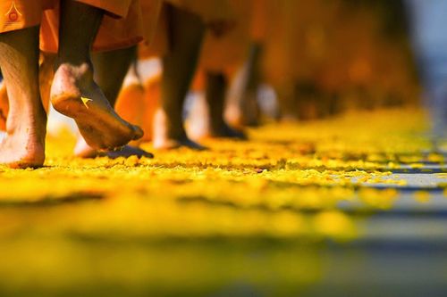 ภาพ No.12224:ประมวลภาพธุดงค์ธรรมชัย ปีที่ 4 วันที่ 2 มกราคม พ.ศ. 2558