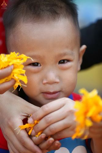 ภาพ No.12243:ประมวลภาพธุดงค์ธรรมชัย ปีที่ 4 วันที่ 2 มกราคม พ.ศ. 2558