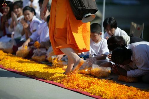 ภาพ No.12276:ประมวลภาพธุดงค์ธรรมชัย ปีที่ 4 วันที่ 2 มกราคม พ.ศ. 2558