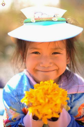 ภาพ No.12285:ประมวลภาพธุดงค์ธรรมชัย ปีที่ 4 วันที่ 2 มกราคม พ.ศ. 2558