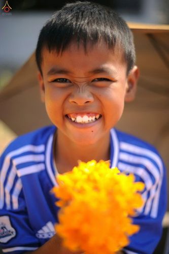 ภาพ No.12289:ประมวลภาพธุดงค์ธรรมชัย ปีที่ 4 วันที่ 2 มกราคม พ.ศ. 2558