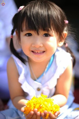 ภาพ No.12294:ประมวลภาพธุดงค์ธรรมชัย ปีที่ 4 วันที่ 2 มกราคม พ.ศ. 2558