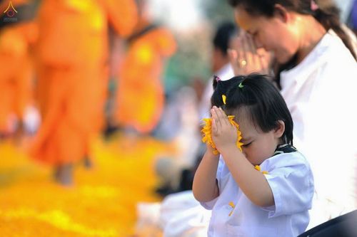 ภาพ No.12306:ประมวลภาพธุดงค์ธรรมชัย ปีที่ 4 วันที่ 2 มกราคม พ.ศ. 2558