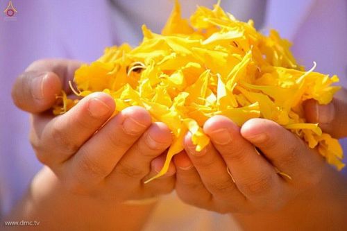 ภาพ No.12351:ประมวลภาพธุดงค์ธรรมชัย ปีที่ 4 วันที่ 3 มกราคม พ.ศ. 2558