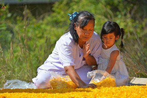 ภาพ No.12479:ประมวลภาพธุดงค์ธรรมชัย ปีที่ 4 วันที่ 5 มกราคม พ.ศ. 2558 