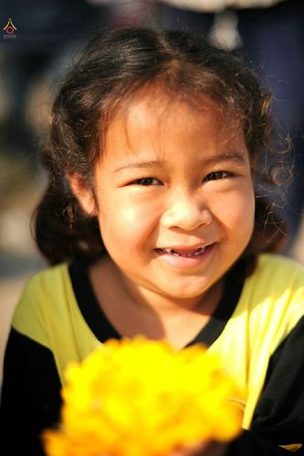 ภาพ No.12480:ประมวลภาพธุดงค์ธรรมชัย ปีที่ 4 วันที่ 5 มกราคม พ.ศ. 2558 