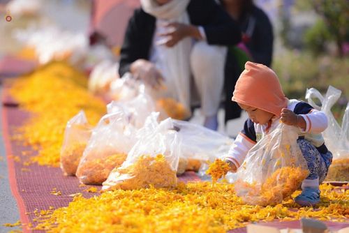 ภาพ No.12488:ประมวลภาพธุดงค์ธรรมชัย ปีที่ 4 วันที่ 5 มกราคม พ.ศ. 2558 