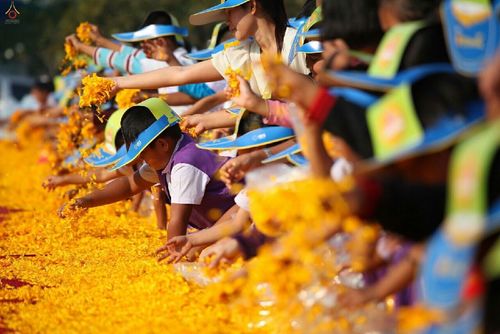 ภาพ No.12439:ประมวลภาพธุดงค์ธรรมชัย ปีที่ 4 วันที่ 5 มกราคม พ.ศ. 2558 