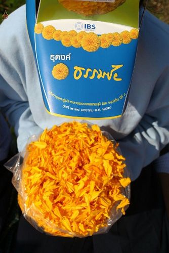 ภาพ No.12542:ประมวลภาพธุดงค์ธรรมชัย ปีที่ 4 วันที่ 6 มกราคม พ.ศ. 2558 