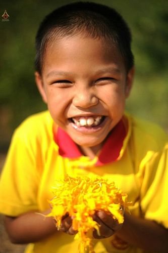 ภาพ No.12545:ประมวลภาพธุดงค์ธรรมชัย ปีที่ 4 วันที่ 6 มกราคม พ.ศ. 2558 