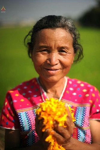 ภาพ No.12554:ประมวลภาพธุดงค์ธรรมชัย ปีที่ 4 วันที่ 6 มกราคม พ.ศ. 2558 