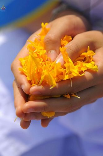 ภาพ No.12643:ประมวลภาพธุดงค์ธรรมชัย ปีที่ 4 วันที่ 7 มกราคม พ.ศ. 2558 