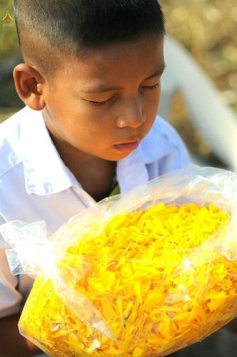 ภาพ No.12656:ประมวลภาพธุดงค์ธรรมชัย ปีที่ 4 วันที่ 7 มกราคม พ.ศ. 2558 