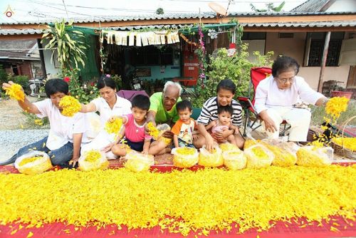 ภาพ No.12574:ประมวลภาพธุดงค์ธรรมชัย ปีที่ 4 วันที่ 7 มกราคม พ.ศ. 2558 