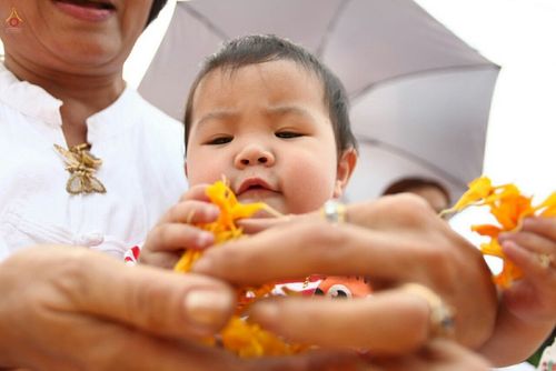 ภาพ No.12582:ประมวลภาพธุดงค์ธรรมชัย ปีที่ 4 วันที่ 7 มกราคม พ.ศ. 2558 