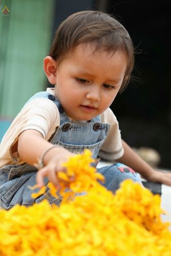 ภาพ No.12586:ประมวลภาพธุดงค์ธรรมชัย ปีที่ 4 วันที่ 7 มกราคม พ.ศ. 2558 