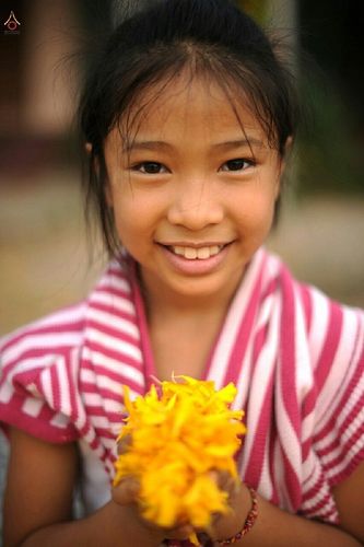 ภาพ No.12588:ประมวลภาพธุดงค์ธรรมชัย ปีที่ 4 วันที่ 7 มกราคม พ.ศ. 2558 