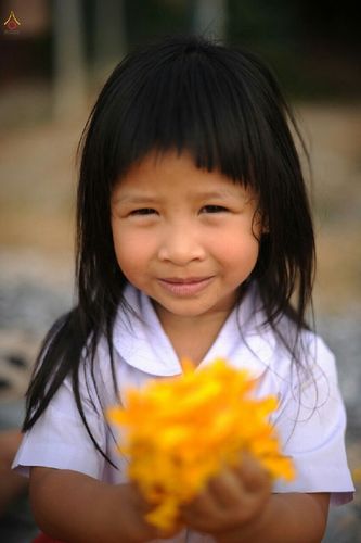 ภาพ No.12597:ประมวลภาพธุดงค์ธรรมชัย ปีที่ 4 วันที่ 7 มกราคม พ.ศ. 2558 