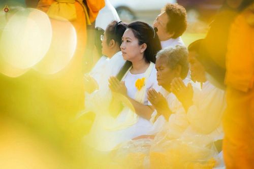 ภาพ No.12979:ประมวลภาพธุดงค์ธรรมชัย ปีที่ 4 วันที่ 9 มกราคม 2558