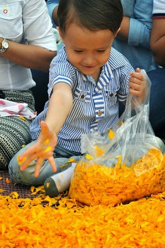 ภาพ No.12987:ประมวลภาพธุดงค์ธรรมชัย ปีที่ 4 วันที่ 9 มกราคม 2558