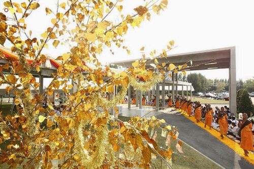 ภาพ No.13001:ประมวลภาพธุดงค์ธรรมชัย ปีที่ 4 วันที่ 9 มกราคม 2558