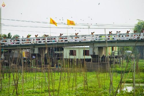 ภาพ No.12999:ประมวลภาพธุดงค์ธรรมชัย ปีที่ 4 วันที่ 9 มกราคม 2558