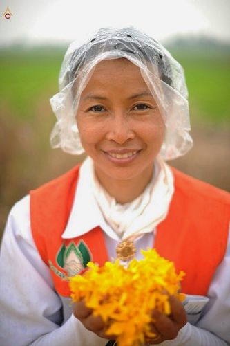 ภาพ No.12769: ประมวลภาพธุดงค์ธรรมชัย ปีที่ 4 วันที่ 10 มกราคม พ.ศ. 2558