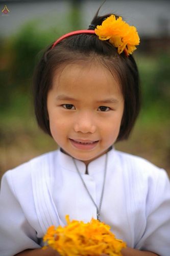 ภาพ No.12771: ประมวลภาพธุดงค์ธรรมชัย ปีที่ 4 วันที่ 10 มกราคม พ.ศ. 2558