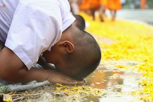 ภาพ No.12808: ประมวลภาพธุดงค์ธรรมชัย ปีที่ 4 วันที่ 10 มกราคม พ.ศ. 2558