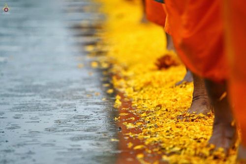 ภาพ No.12815: ประมวลภาพธุดงค์ธรรมชัย ปีที่ 4 วันที่ 10 มกราคม พ.ศ. 2558