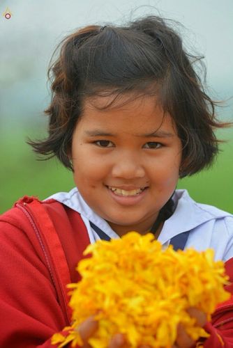 ภาพ No.12827: ประมวลภาพธุดงค์ธรรมชัย ปีที่ 4 วันที่ 10 มกราคม พ.ศ. 2558