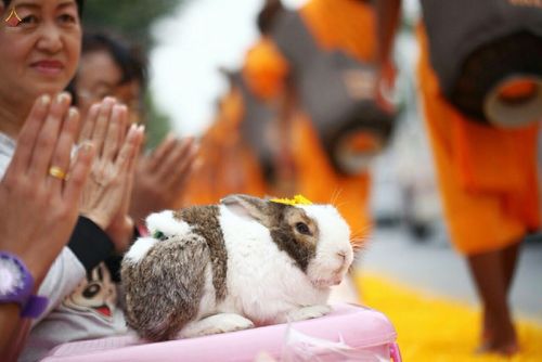 ภาพ No.12872:ประมวลภาพธุดงค์ธรรมชัย ปีที่ 4 วันที่ 11 มกราคม พ.ศ. 2558 