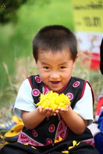 ภาพ No.12909:ประมวลภาพธุดงค์ธรรมชัย ปีที่ 4 วันที่ 11 มกราคม พ.ศ. 2558 