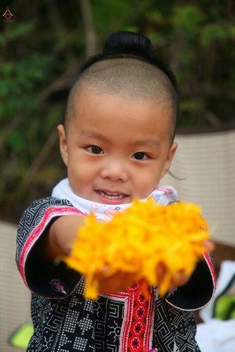 ภาพ No.12911:ประมวลภาพธุดงค์ธรรมชัย ปีที่ 4 วันที่ 11 มกราคม พ.ศ. 2558 