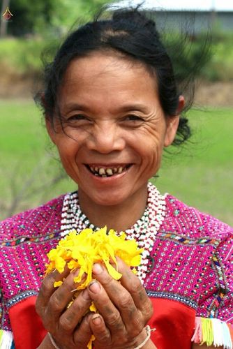 ภาพ No.12915:ประมวลภาพธุดงค์ธรรมชัย ปีที่ 4 วันที่ 11 มกราคม พ.ศ. 2558 