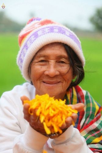 ภาพ No.12937:ประมวลภาพธุดงค์ธรรมชัย ปีที่ 4 วันที่ 11 มกราคม พ.ศ. 2558 