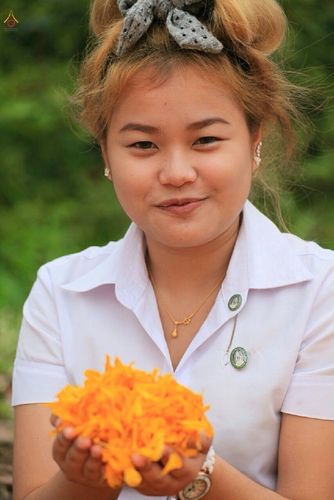 ภาพ No.12948:ประมวลภาพธุดงค์ธรรมชัย ปีที่ 4 วันที่ 11 มกราคม พ.ศ. 2558 