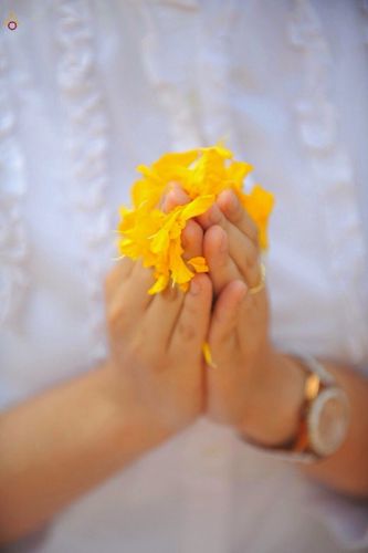 ภาพ No.13080:ประมวลภาพธุดงค์ธรรมชัย ปีที่ 4 วันที่ 12 มกราคม 2558