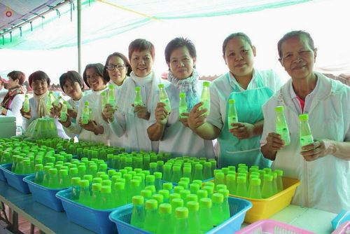 ภาพ No.13096:ประมวลภาพธุดงค์ธรรมชัย ปีที่ 4 วันที่ 12 มกราคม 2558