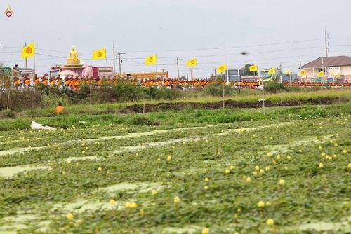 ภาพ No.13102:ประมวลภาพธุดงค์ธรรมชัย ปีที่ 4 วันที่ 12 มกราคม 2558