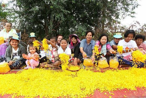 ภาพ No.13117:ประมวลภาพธุดงค์ธรรมชัย ปีที่ 4 วันที่ 12 มกราคม 2558