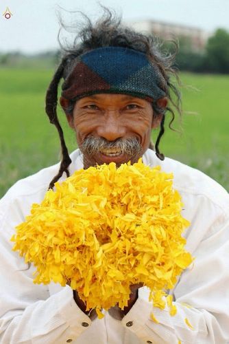 ภาพ No.13136:ประมวลภาพธุดงค์ธรรมชัย ปีที่ 4 วันที่ 12 มกราคม 2558