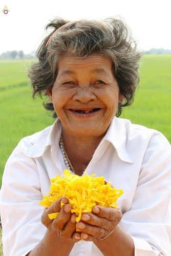 ภาพ No.13143:ประมวลภาพธุดงค์ธรรมชัย ปีที่ 4 วันที่ 12 มกราคม 2558