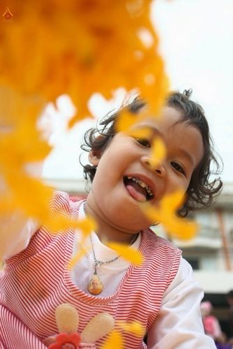 ภาพ No.13159:ประมวลภาพธุดงค์ธรรมชัย ปีที่ 4 วันที่ 12 มกราคม 2558